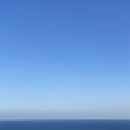 계절, 대게 성지 동해 묵호항 방문 후기 | 묵호항 대게, 88 백봉호, B급 대게, 해우식당, 마린수산, 골뱅이