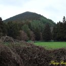 동광리-12 이미지