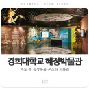경희대 혜정박물관 이미지