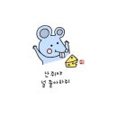 봉고집