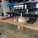 원탑휘트니스 이미지