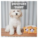 비제이먹방 | 강아지 간식 추천 강아지라면 안심댕면 북어맛 후기