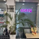 대전 서구청년공간 &#39;청춘포털&#39; 수제도장 원데이클래스 출강 후기