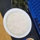 죽전 지하차도2L | [2025-11-5(수)] 다이어트 일기 +3일차 / 80.8kg / 드디어 수영 첫 수업 날;;