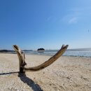 바다다방 이미지