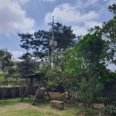 한담 낭뜰 이미지