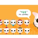 캔디캣 이미지