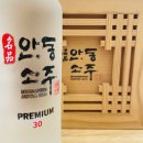 [증류식소주] 오크통 숙성까지 했다는 명품안동소주 30 후기