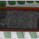 침류정(枕流亭) 이미지