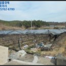 중앙초교화남분교 이미지