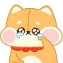 강남-084 이미지