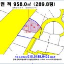심학산전원부동산공인중개사사무소 이미지