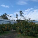 상창농장 이미지