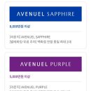 (주)제일통상 | 롯데백화점 등급 : 2026년 AVENUEL PURPLE 선정 후기 | 퍼플 선정 대상 및 혜택 정리★
