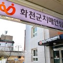 화천군치매안심센터 이미지