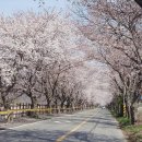 보령-주산-1 이미지