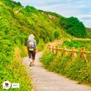 산티아고순례길 이미지