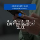 성일카