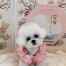 레이카운티 GS프레쉬 앞 | 부산강아지미용 잘하는 거제동 말랑멍무 추천