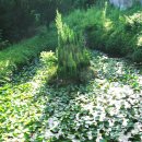 옥룡사지 이미지