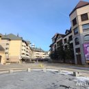 알펜시아리조트 노동조합 이미지