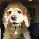 송광약국 이미지