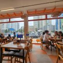 속초애견 더 이쁘개 | 강원도 속초 해수욕장 맛집 애견동반 식당 칼국수 전문점 바다제면 속초본점 내돈내산 솔직후기