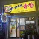 [원주 원동 박가네곱창] 맛숨찐 현지인 곱창 맛집 후기