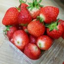 원북농장 이미지