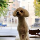 연두동물병원 이미지