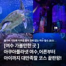 [여수 가볼만한 곳] 아쿠아플라넷 여수 실내 데이트 &amp; 가족 여행 코스 솔직후기
