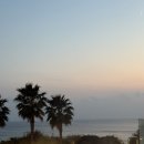 수영봄정신건강의학과의원 | 번개로 제주도-5일차(만나빵집, 시울정신의학과, 제주 파르나스호텔, 제주해조보말성게전문점)