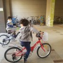 장기양곡 이미지