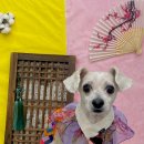 쁘띠아키 이미지