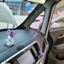 🚗 차량 개미 방역 후기 – 그 후, 고객 문의가 폭발하고 있어요!
