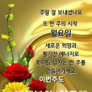 오늘안주 이미지
