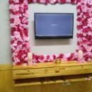 펫택시119 이미지