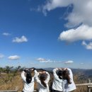 강원헬스클럽 | 다짐헬스 회원들과 다녀온 민둥산 억새축제 후기