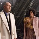 오렌지애견 이미지