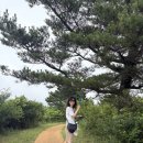바다위올레하우스 이미지