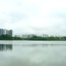 영랑호수공원 이미지