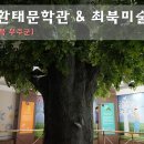 정선태권도체육관 | 무주 여행 : 김환태문학관 &amp; 최북미술관(무주전통공예테마파크여행)