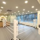 고트복싱(G.O.A.T Boxing) 이미지