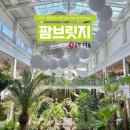 주식회사 팜브릿지케어 | 포천 늦게까지 하는 카페, 팜브릿지 : 식물원 st 대형 베이커리 브런치 카페 내돈내산 추천