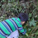 월문초등학교(병설) 이미지