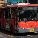 세운버스 이미지