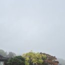 어반스테이 부티크 남포BIFF 이미지