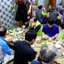 대정읍 영어교육도시내 곶자왈 이미지