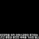홀리트리
