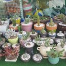 대명민박 이미지